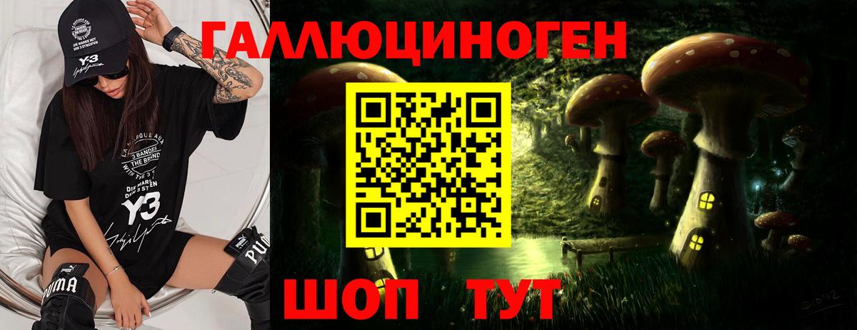 Тара  Галлюциногенные грибы Psilocybine cubensis  Вход с VPN 