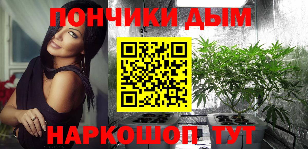 Тара  Бошки марихуана конопля  Марихуана Ganja  Каннабис гибрид  Вход с VPN 